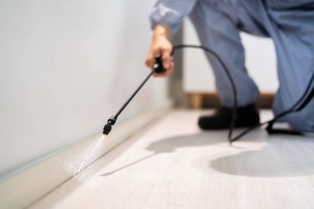 Licensed Pest Control service in Redlands, CA - Show Me Pest Control